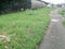 In an alley in Douala, coastal region in Cameroon. Steps with puddles of water.