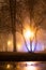 Alley of the evening misty park with burning lanterns, trees and benches.