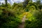 Alley of Flowers in Monet`s Garden in Giverny, Normandy, France