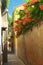 Alley with flowers in Venice