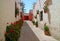 An alley full of red flowering shrubs and terracotta planters hanging on the old building`s outer walls