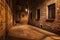 Alley in Gothic Quarter of Barcelona by Night