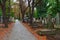 Alley among graves on cemetery in Prague.