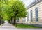 Alley of green trees in the street of Saint Petersburg.