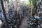 Alley on the Hill of Crosses