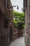 Alley between houses under green vines in Venice  Italy