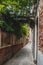 Alley between houses under green vines in Venice  Italy