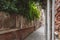 Alley between houses under green vines in Venice  Italy