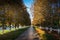 Alley lined with autumn trees photo, diminishing perspective composition