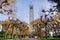 Alley lined up with autumn colored trees; Sather Campanile tower in the background