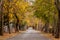 The alley of love, in Vytina village, Arcadia, Peloponnese, Greece.