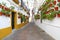 Alley with many flower pots in Cordoba