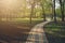 Alley, pathway in the city park in sunlight. Cobbled alley in the public  park. Green tree foliage. Nature outdoor landscape with