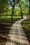 Alley, pathway in the city park in sunlight. Cobbled alley in the public  park. Green tree foliage. Nature outdoor vertical