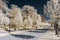 Alley in public park, infrared view