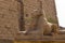 Alley of the ram-headed Sphinxes. Karnak Temple. Luxor, Egypt.