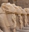 Alley of the ram-headed Sphinxes. Karnak Temple. Luxor, Egypt.