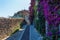 Alley in Saint-Paul-de-Vence, Provence, France