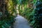 Alley in Saint-Paul-de-Vence, Provence, France