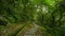 Alley, slate, paved, forest trail, shade, clean, cool