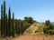 Alley of slender cypresses on the shore of Aegean Sea. Sithonia Peninsula.