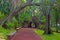 Alley with stone benches in city park, Sao Miguel, Azores, Portugal.