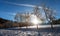 alley of tree and sun on beautiful sky