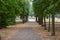 Alley of trees at Drottningholm Royal Domains