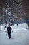 Alley under the snow in winter, Romania.