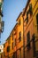 Alley with vibrant buildings lining the street.  Florence, Italy