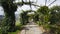 Alley with vine plants between hills