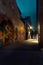 Alleyway Art: Vibrant Street Murals at Night