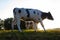 allgau cows at sunset with beams