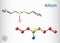 Allicin, sulfoxide molecule. This compound exhibits antibacterial and anti-fungal properties. Structural chemical formula and