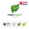 Alligator animal concept icon set and modern brand identity logo template and app symbol based on comma sign