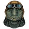 Alligator. Crocodilia. Portrait of african agressive animal. Vintage aviator helmet with googles.