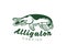 Alligator gar fish atractosteus spatula, fishing, logo design. Animal, underwater life, wildlife, vector design