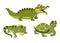 Alligator, iguana and turtle on white background