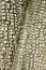 Alligator Juniper Treebark Background/Texture