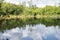 The alligator lake at the Six Mile Cypress Slough Reserve in Ft.Myers, Florida.