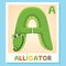 A is for Alligator. Letter A. Alligator. Animal alphabet.