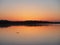 Alligator at sunrise on Nine Mile Pond in Everglades National Park, Florida.