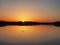 Alligator at sunrise on Nine Mile Pond in Everglades National Park, Florida.