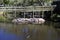 The alligators island the farm located in St. Augustine, Florida, USA