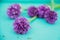 Allium flowers bouquet in a stylish metal decorative vase. Shallow depth of field