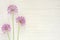 Allium flowers wild bow on stem on white wooden background, copy space