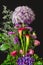 Allium giganteum with sea-lavender, callas, hydrangea, lisianthus on black background