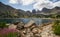 Allos lake, Fireweed, paved pathway