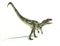 Allosaurus Dinosaurus, photorealistic representation, dynamic po