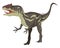 Allosaurus, illustration, vector